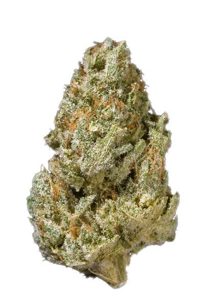 honey haze|Honey Haze Strain